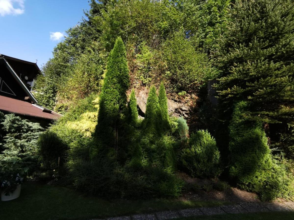 Haus Am Bach Kirchberg in Tirol Exterior foto